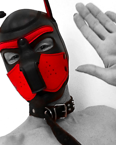 Logo du site HardGaySexSlave.fr : rencontres BDSM gay hardcore et partage d’expériences